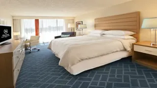 Sheraton Lake Buena Vista Resort Orlando