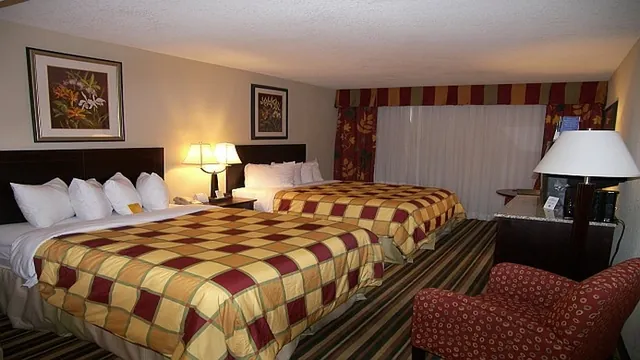 Comfort Suites Maingate East photo 3