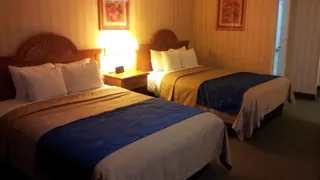 Comfort Inn Maingate Hotel Anaheim