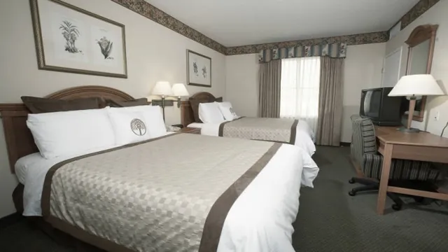 Ibis Bristol Temple Meads Quay photo 1