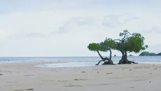 Asia Grand View Hotel