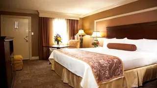 25hours Hotel Duesseldorf Das Tour