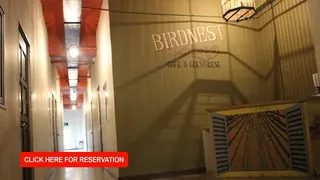 Birdnest Collective Cafe and Guesthouse