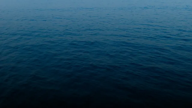 Royal Langkawi Yacht Club photo 1