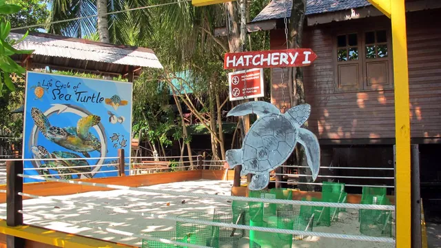 Lankayan Island Dive Resort photo 2