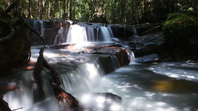 Cassia Cottage photo 3