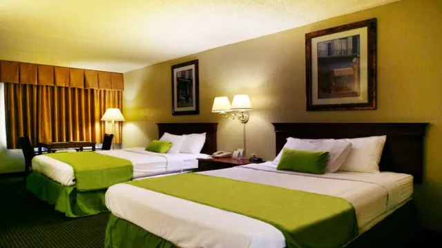 Budget Inn & Suites Orlando West photo 3