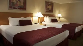 Asset Hotel Shanghai