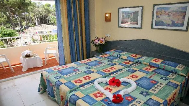 Nikko Kansai Airport Hotel Osaka photo 3