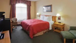 Country Inn & Suites By Carlson Orlando Universal