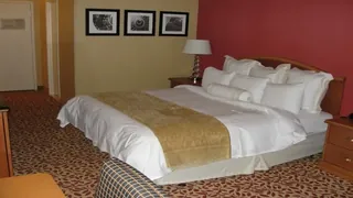 Macdonald Berystede Hotel & Spa Ascot