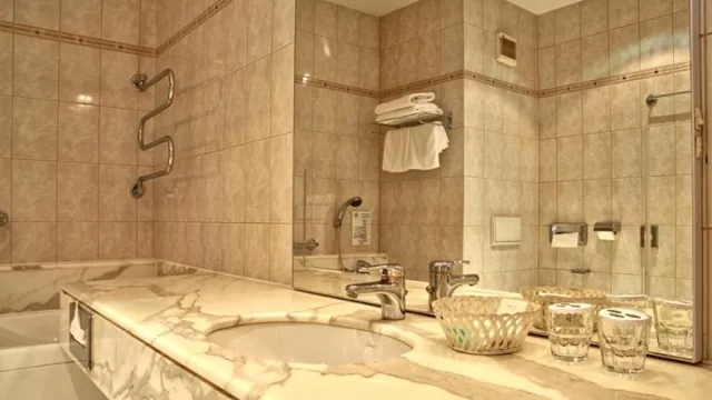 Top Ambassador Zlata Husa Prague photo 2