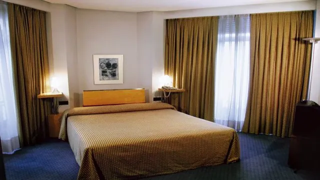 Occidental León Alfonso V photo 1