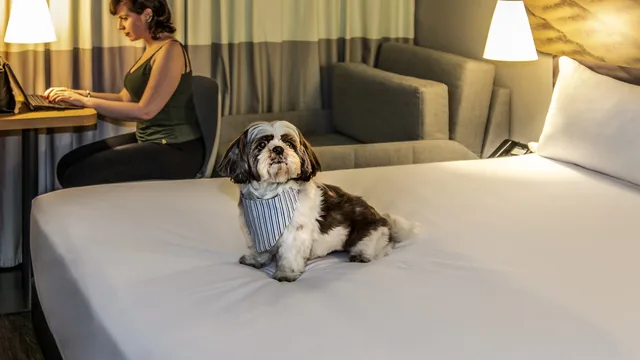 Vienna House Easy by Wyndham Pilsen photo 8