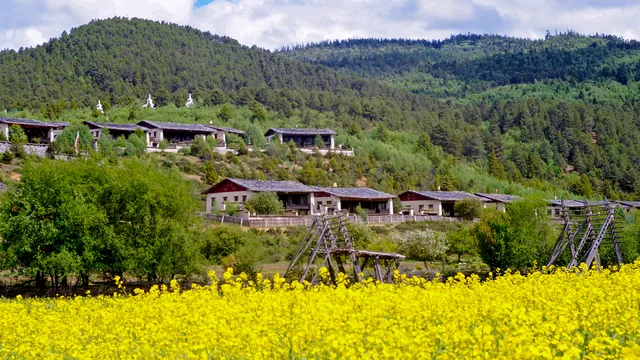 Banyan Tree Ringha photo 6