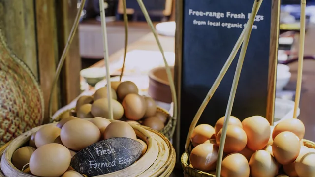 Garrya Tongsai Bay Samui photo 9