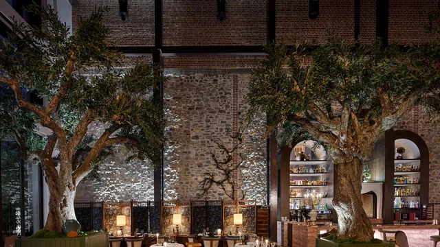 Ali?e Istanbul - A Paris Society Collection Hotel photo 3