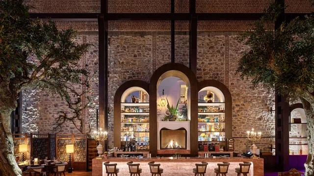 Ali?e Istanbul - A Paris Society Collection Hotel photo 5