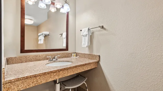 Days Inn by Wyndham Whitmore Lake/Ann Arbor/Brighton photo 3