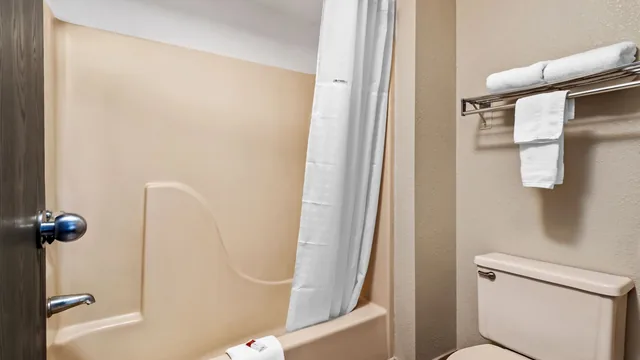 Days Inn by Wyndham Whitmore Lake/Ann Arbor/Brighton photo 4